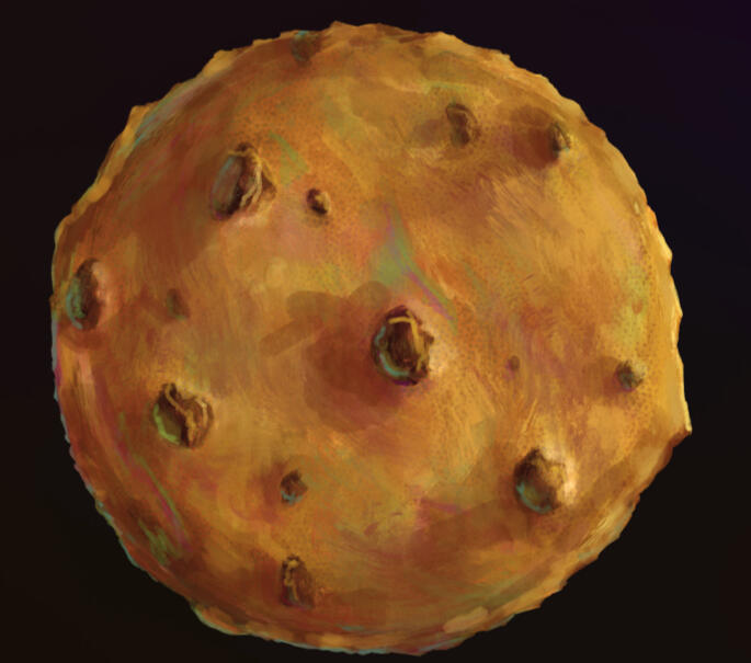 Choc Chip
