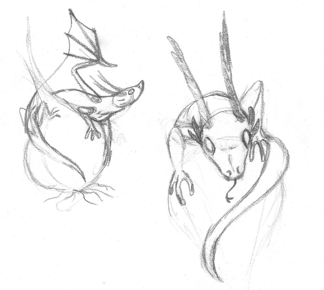 Garlic dragon final design sketches
