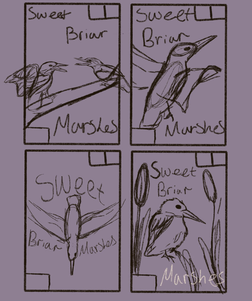 Sweet Briar Marshes thumbnail designs