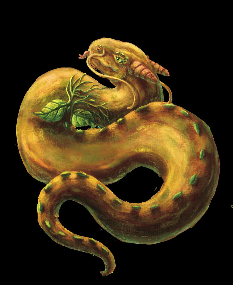 Baby Spaghetti Dragon
