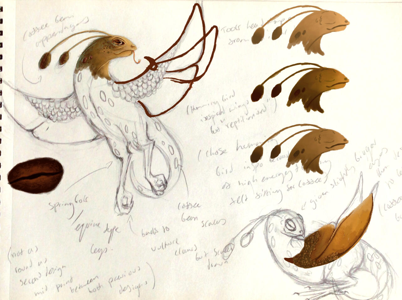 Espresso Dragon final design sheet